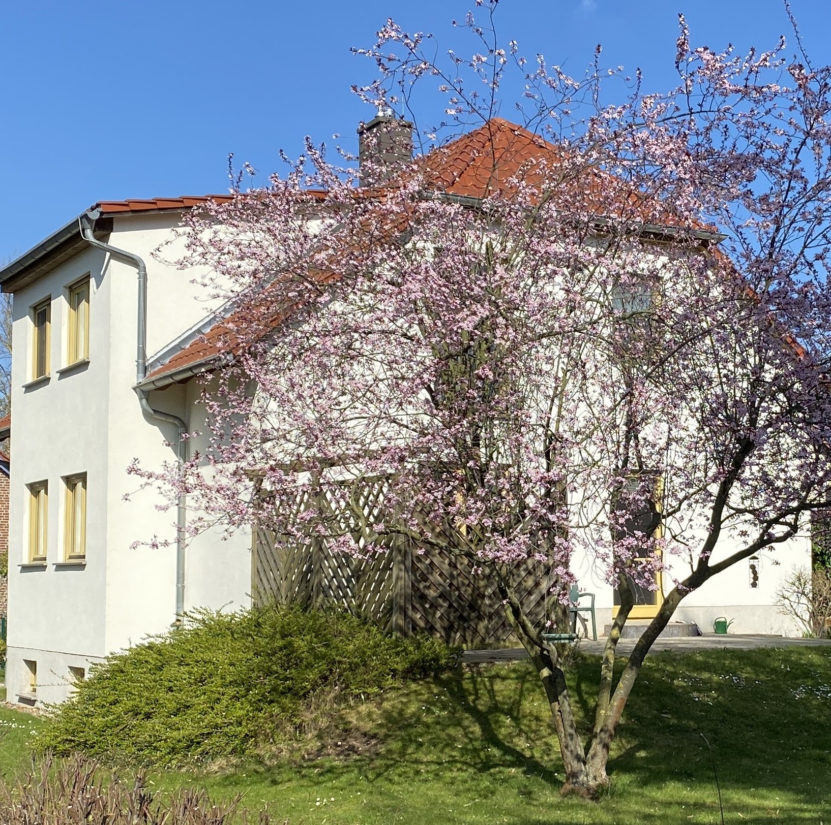 Ihre Ferienwohnung im 1. Stock